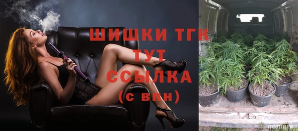 соль ск Алзамай