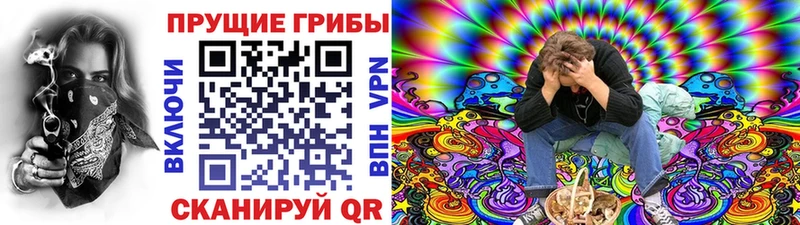Галлюциногенные грибы мицелий  Нестеров 